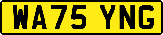 WA75YNG