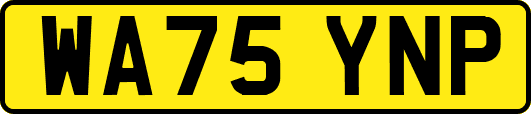 WA75YNP
