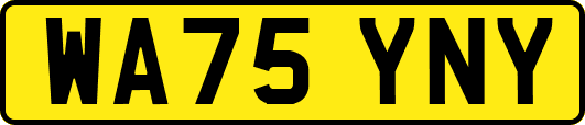 WA75YNY