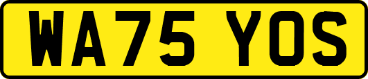 WA75YOS