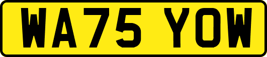 WA75YOW
