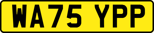 WA75YPP