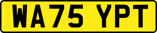 WA75YPT