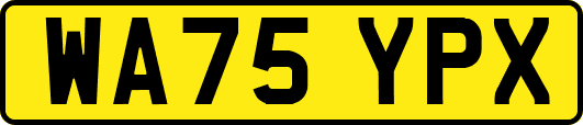 WA75YPX