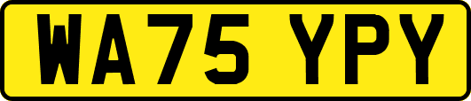 WA75YPY