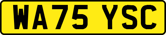 WA75YSC