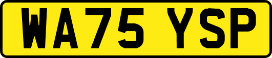 WA75YSP