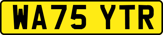 WA75YTR