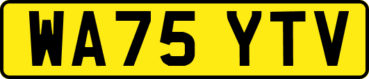 WA75YTV