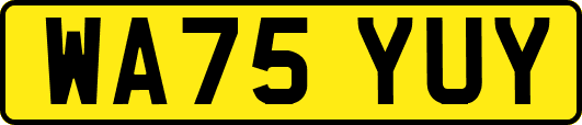 WA75YUY