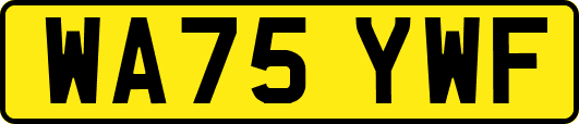 WA75YWF