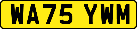 WA75YWM
