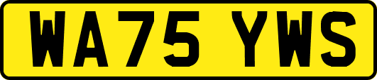 WA75YWS
