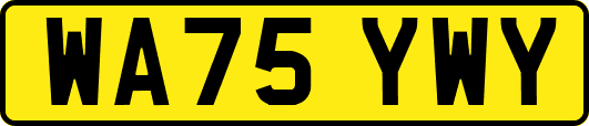 WA75YWY