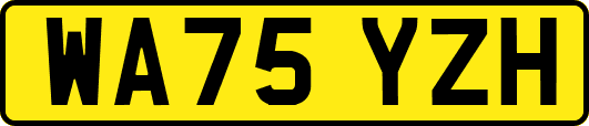 WA75YZH