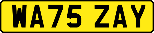 WA75ZAY