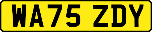 WA75ZDY