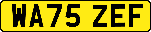 WA75ZEF
