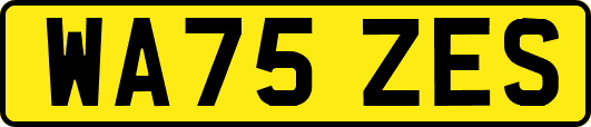 WA75ZES