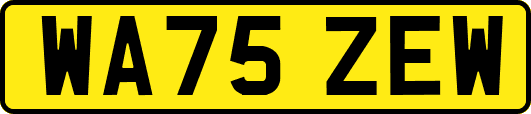 WA75ZEW
