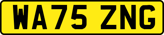 WA75ZNG