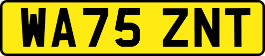 WA75ZNT