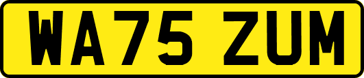 WA75ZUM