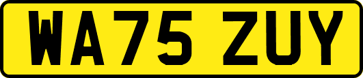 WA75ZUY