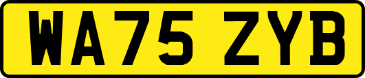 WA75ZYB