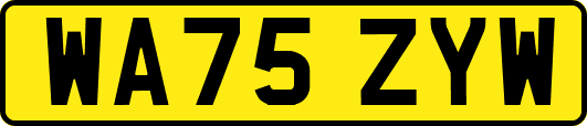 WA75ZYW