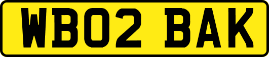 WB02BAK