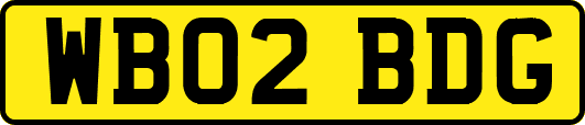 WB02BDG