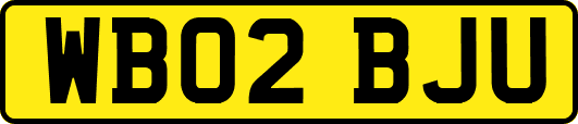 WB02BJU