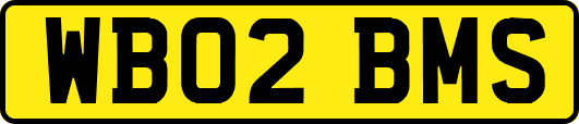 WB02BMS