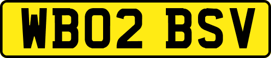 WB02BSV
