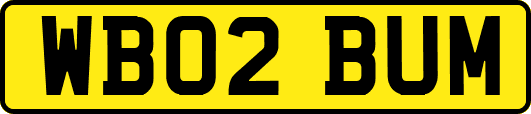 WB02BUM