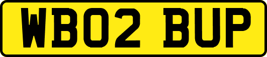WB02BUP
