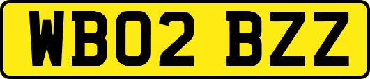 WB02BZZ