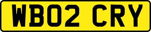 WB02CRY
