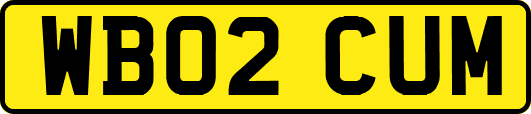 WB02CUM