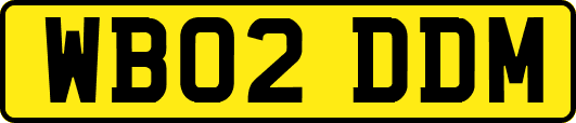 WB02DDM