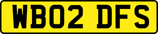 WB02DFS