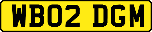 WB02DGM