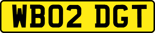 WB02DGT