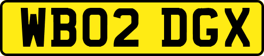 WB02DGX