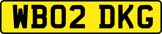 WB02DKG
