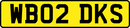 WB02DKS