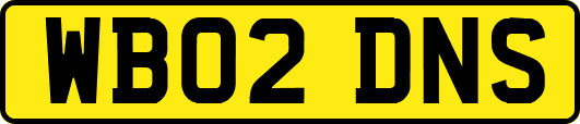 WB02DNS