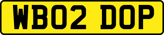WB02DOP