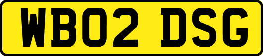 WB02DSG